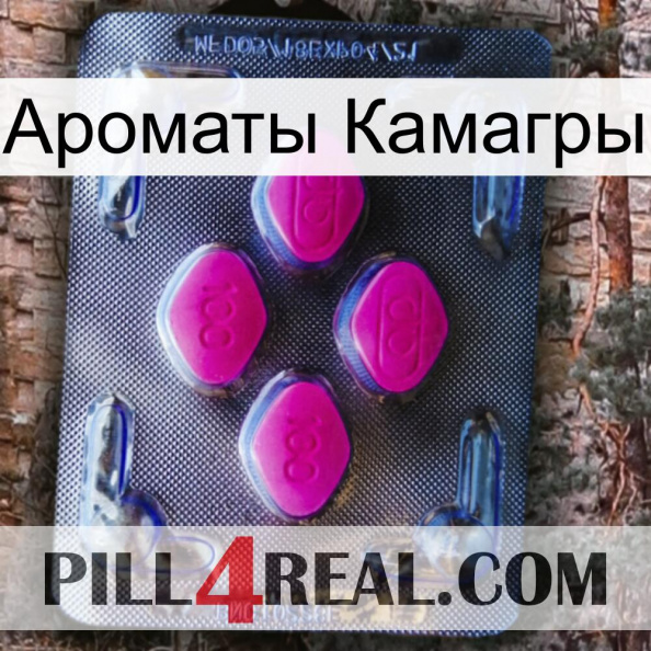 Ароматы Камагры 02.jpg